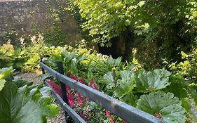 Atlantic Garden Lodge,Art Studio &Garden