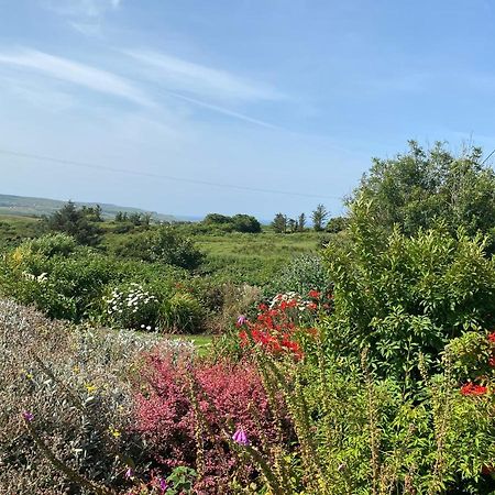 Atlantic Garden Lodge,Art Studio &Garden Lisdoonvarna Buitenkant foto