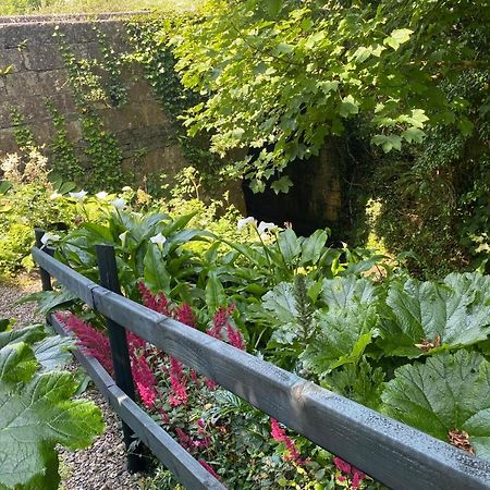 Atlantic Garden Lodge,Art Studio &Garden Lisdoonvarna Buitenkant foto