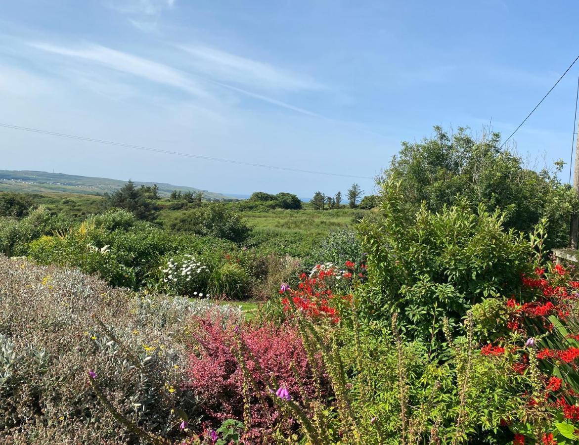 Atlantic Garden Lodge,Art Studio &Garden Lisdoonvarna Buitenkant foto