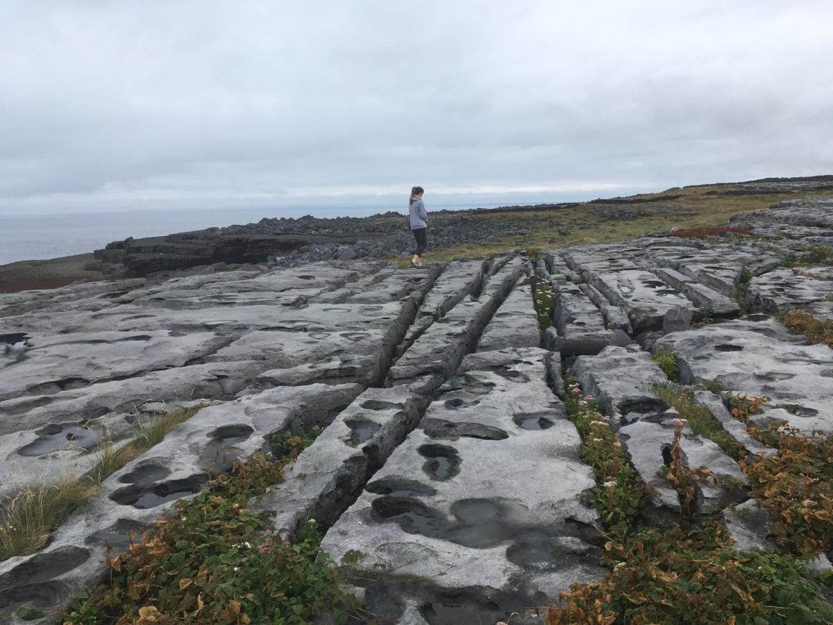 Atlantic Garden Lodge,Art Studio &Garden Lisdoonvarna Buitenkant foto